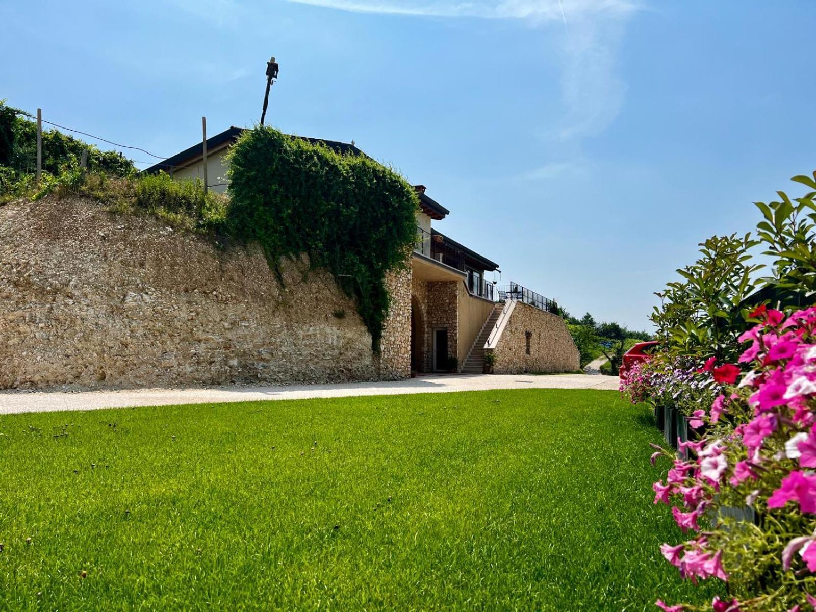 Bioagriturismo Falezze Di Luca Anselmi Villa Lione Exterior photo